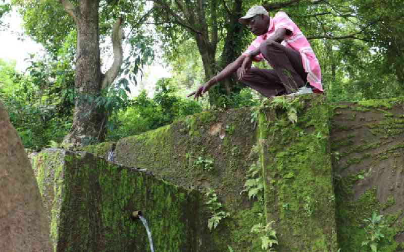 Kisumu's lost spring bubbles back to life after decades of dryness