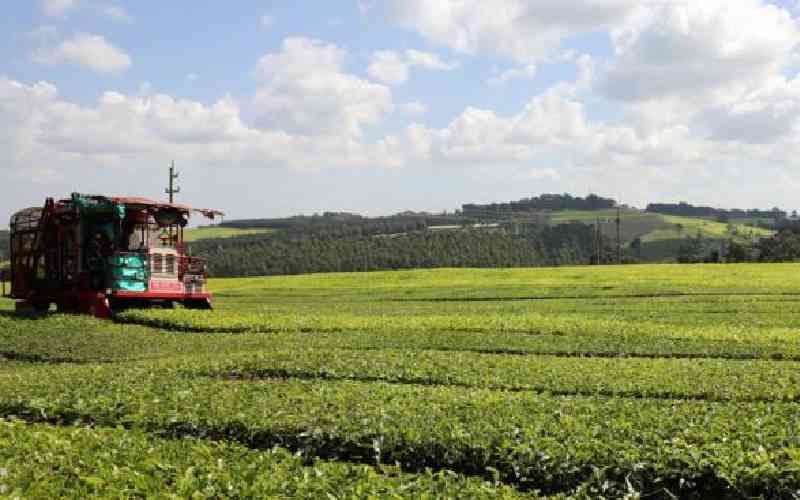 Family seeks justice after nine-year-old crushed to death by tea harvesting machine