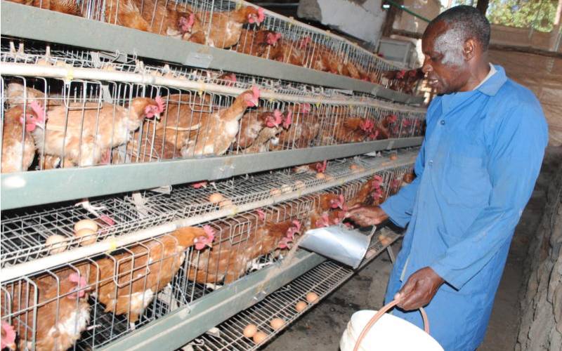 Why Kempinski will no longer buy chicken products reared under cages