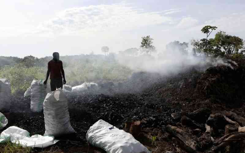 Ugandan ban on charcoal-making disrupts lucrative but destructive business