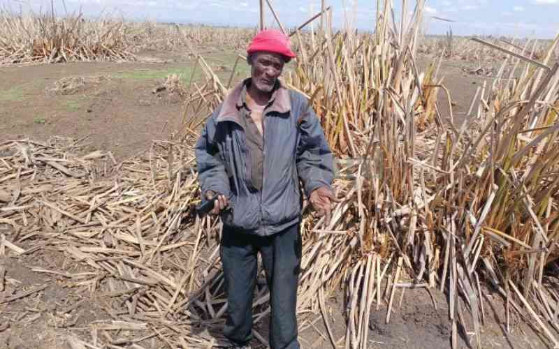 Encroachment, low water levels fuel Ewaso Narok extinction fears