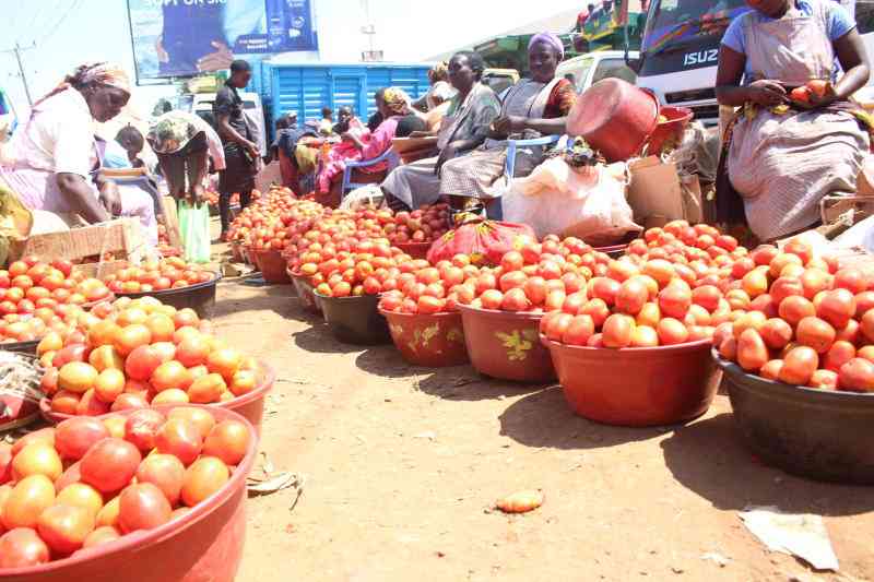 Why tomato prices are low in markets