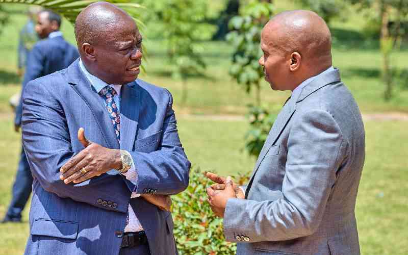 Mt Kenya kingpin debate 'confuses' diaspora vote