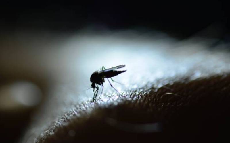 Researchers link malaria with agriculture in 16 African nations