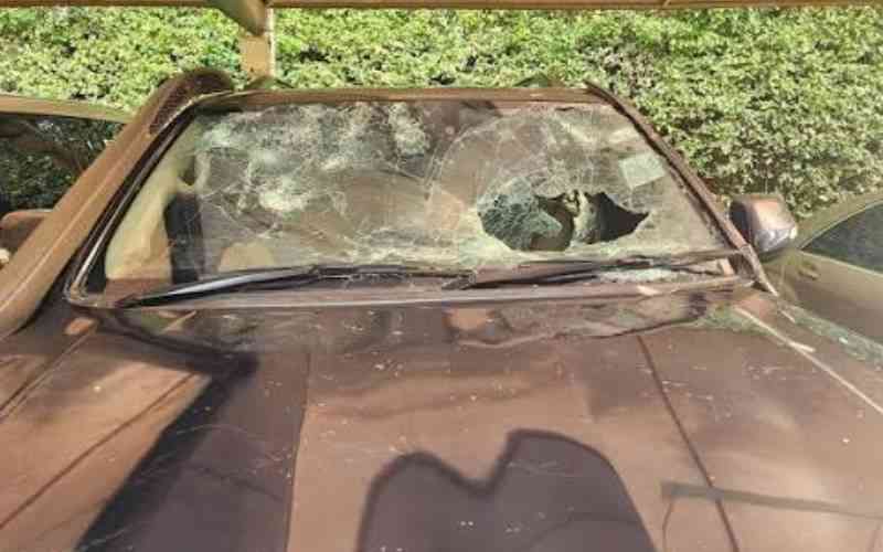 Kang'ata driver shot at Linda Mwananchi rally as political violence escalates