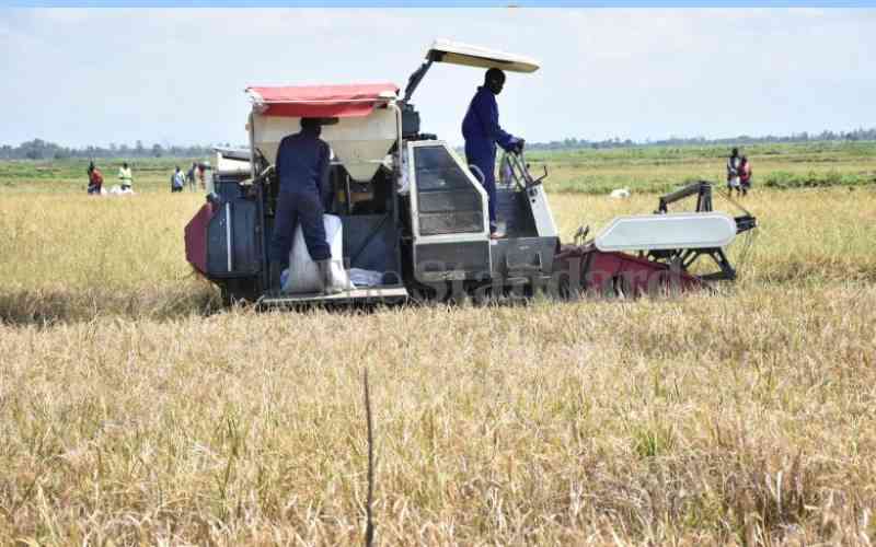 Stakeholders in Nyanza advocate for regenerative agriculture to boost food security