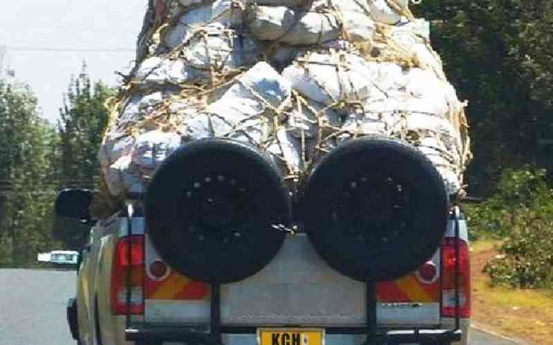 State orders crackdown on speeding miraa vehicles, probes financiers