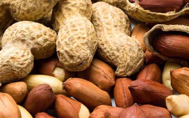 Aflatoxin control tips in your groundnuts