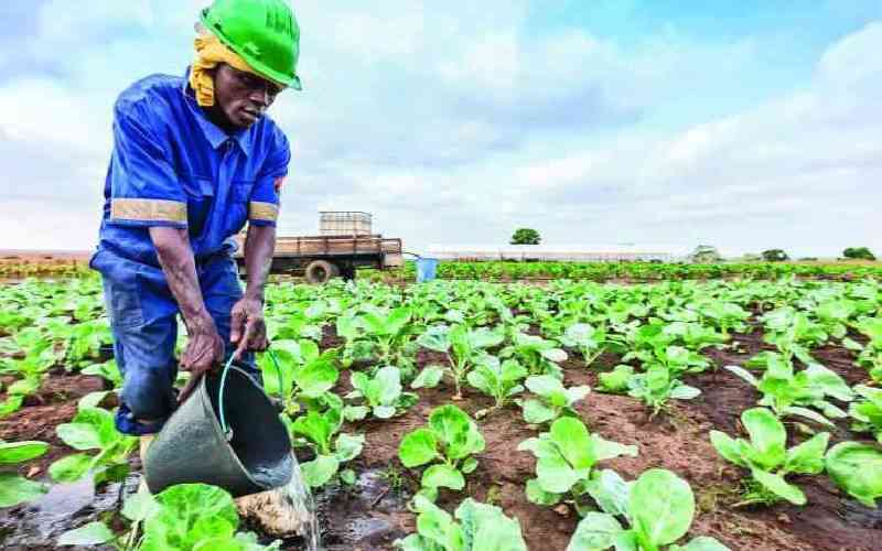 Harness the power of aggregation in farming