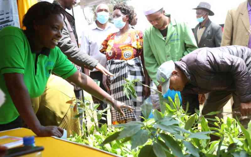 Central Kenya's annual 'Farmers Day' to focus on climate change
