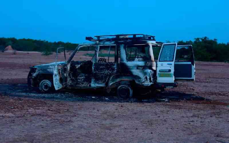 Locals in Niger say 'terrorists' killed 25 militia members