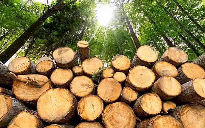 Son kills father in quarrel over wood logs in Makueni