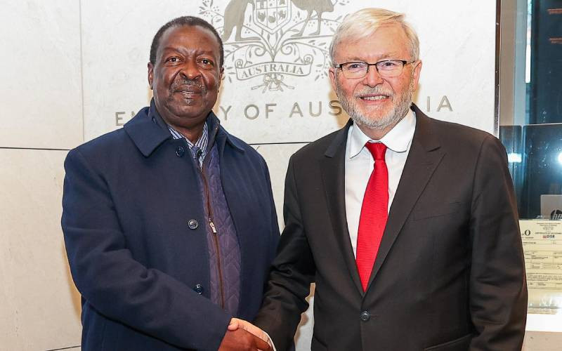 Rare earth riches cannot come at our cost, Mudavadi tells US investors