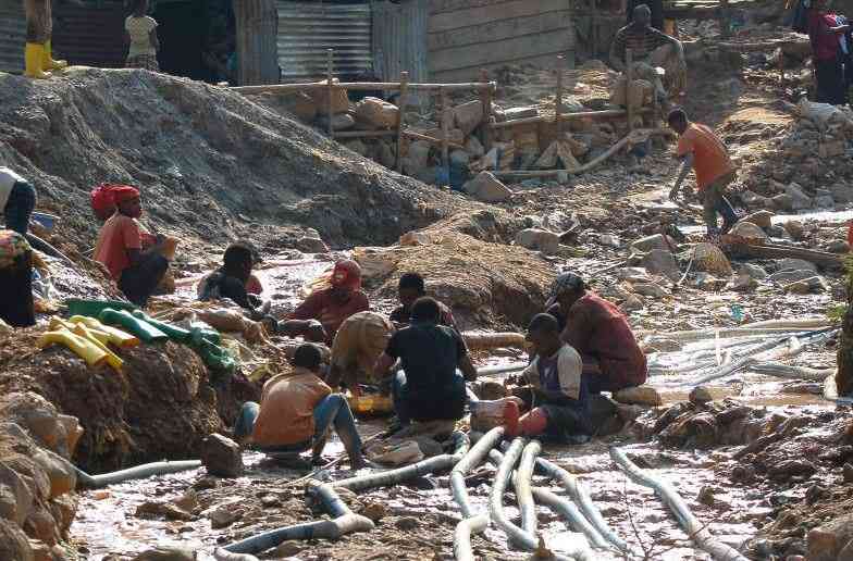 How Africa plans to protect its green wealth