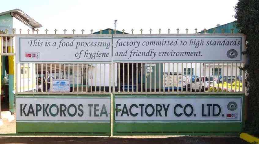 Kapkoros Tea Factory under scrutiny over financial audits