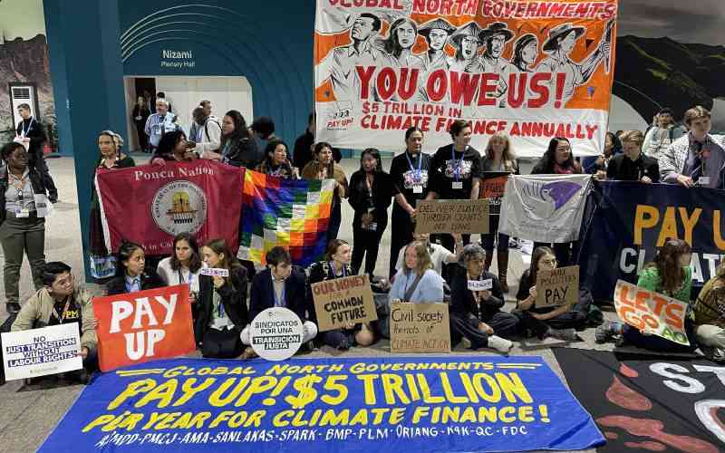 Doubts over climate funding as donors squeeze aid