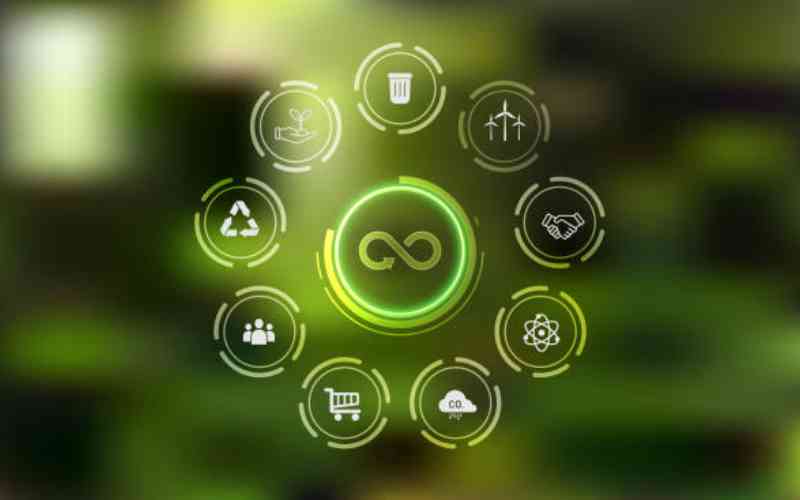 SMEs losing millions to lack of circular economy certification rules