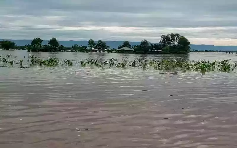 Wetang'ula orders national response over rising lake waters