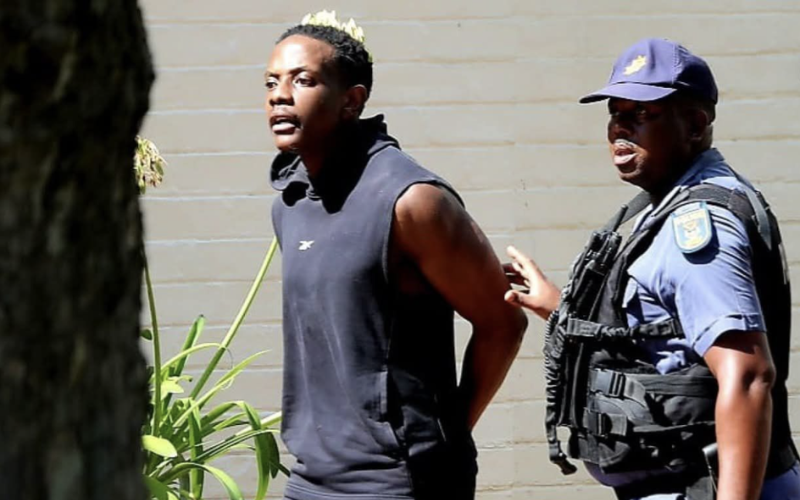 Mugabe's son faces attempted murder charges as police hunt for missing gun