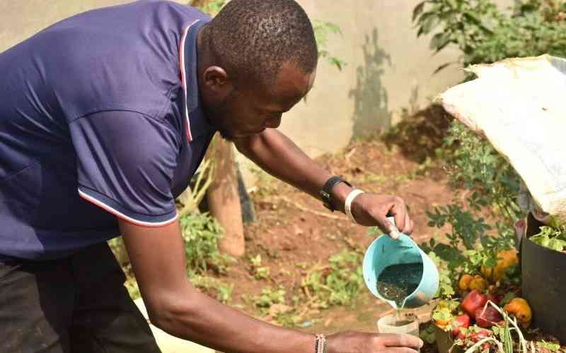 Brian Okeyo: Bungoma's youthful engineer building a green future in organic farming