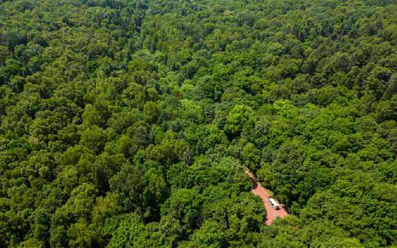 How China's Xi Jinping is driving relentless fight against desertification