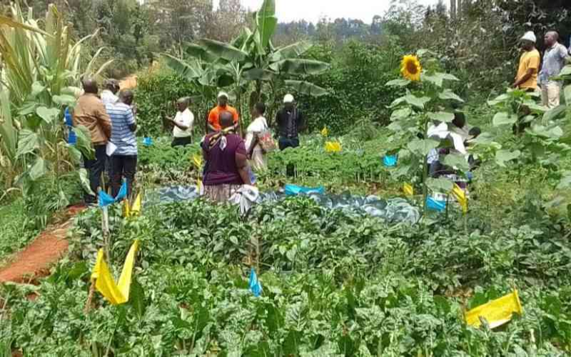 Young agripreneurs trained in agroecology, digital marketing