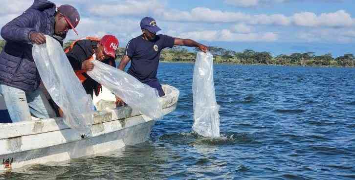 New Kilifi centre to boost blue economy