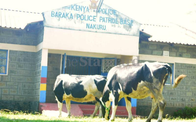 Cow 'owner' told to produce its death certificate in court