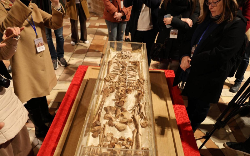 St Francis of Assisi's remains go on rare public display 800 years after death