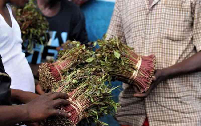 Meru farmers protest Governor Nassir's levy on miraa