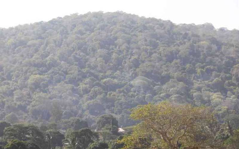 Sh8tr Mrima Hill treasure: How sacred hill became frontier for 'US-China war'