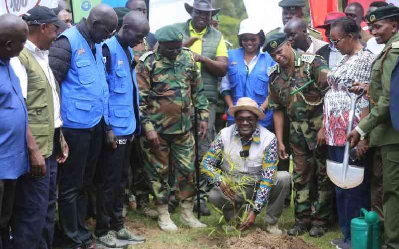 How Kaptagat's green model has revived forests, boosted incomes