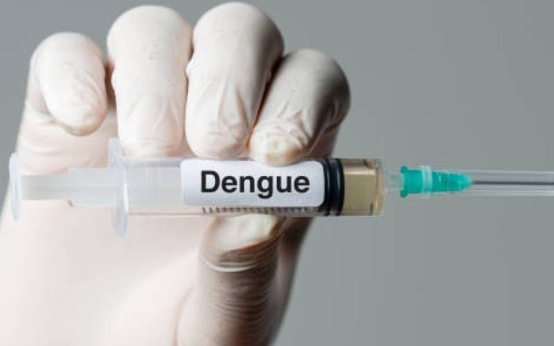 Sudanese officials say Dengue fever outbreak kills 26
