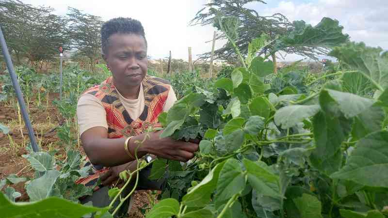 Farmers with small portions of...