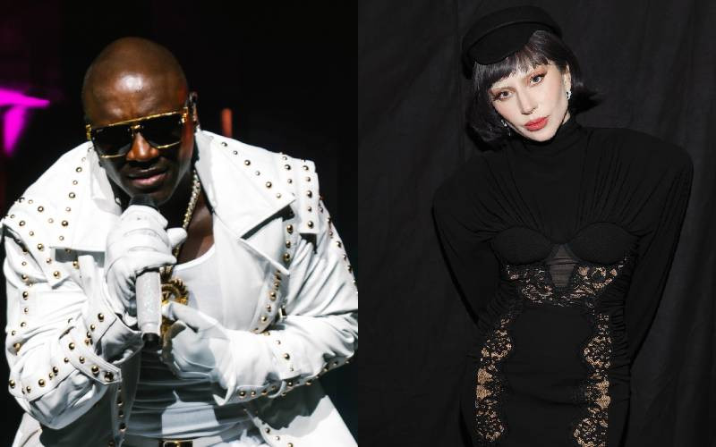 Akon says Lady Gaga's success 'pretty much retired' him financially