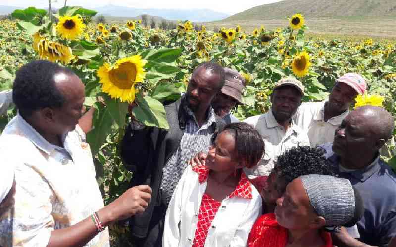 Incubation hub to inject Sh5b into agribusiness