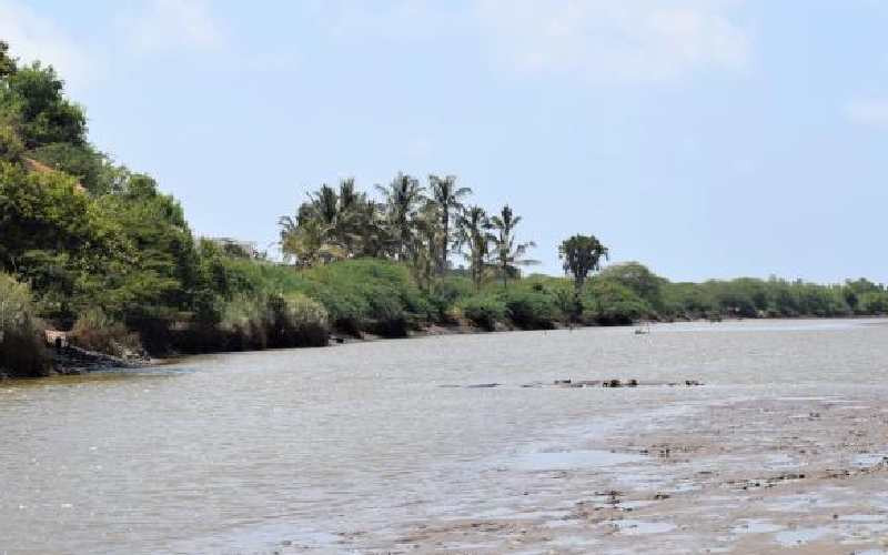 Saving the hippos of River Sabaki