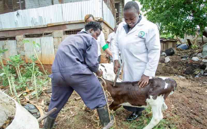 Vets allay fears over mass vac...