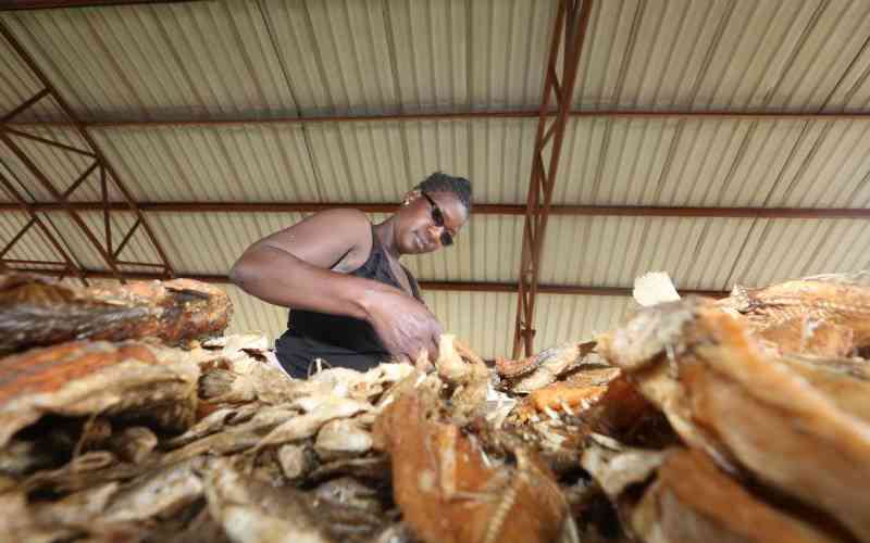 Kendu Bay: Sleepy fishing town that no lender will bank on