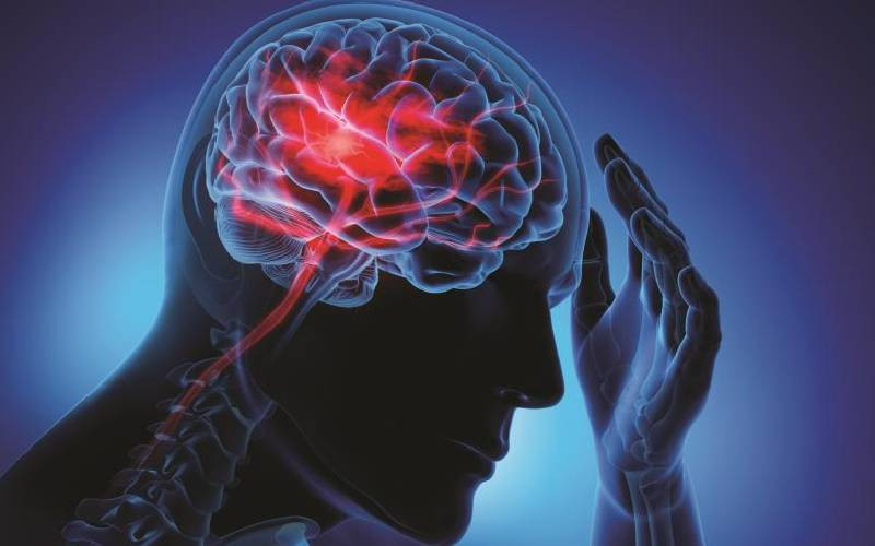 Escort-in-Chief: Neurologist's lessons in care, empathy, and brain science