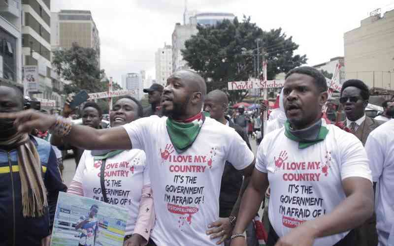 Kibra magistrate gave Mwangi and Kenyans the wrong advice