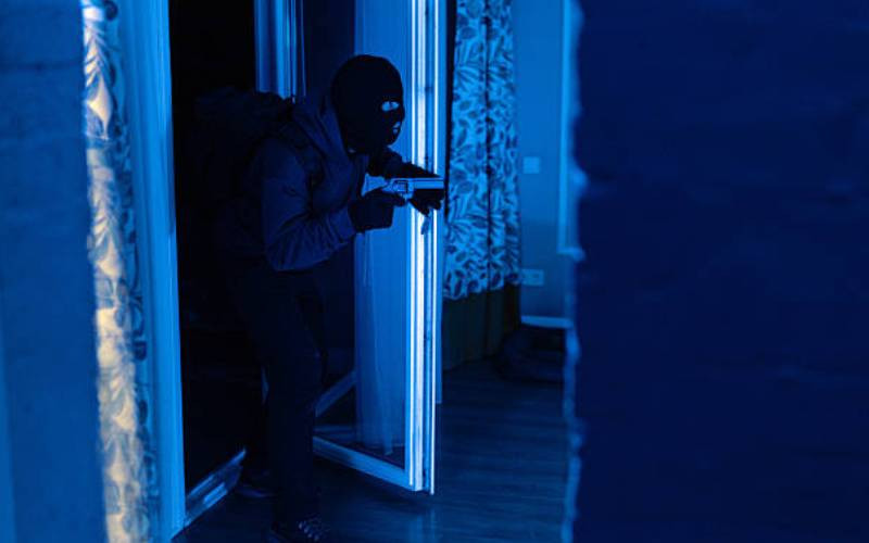 Robbers cooked supper before stealing, court told