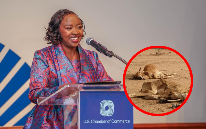 Rachel Ruto slammed after claiming Kenya has no drought, credits keshas for rainfall