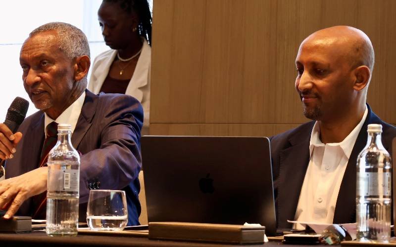 Report indicts African Union for failing to prevent, resolve conflicts