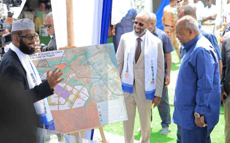 Djibouti's Salaam city eyes slice of Africa's housing boom