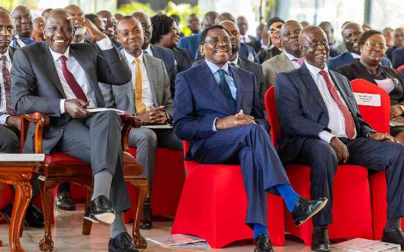 Patronage has been the formula for resource allocation