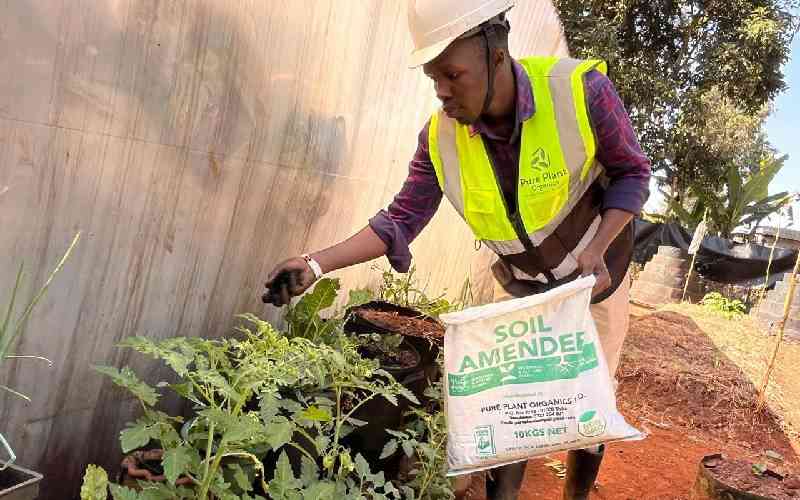 How farm waste is giving Kenya's exhausted soils a new life