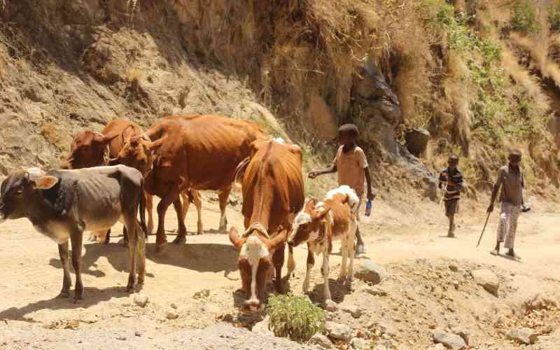 Tensions high in Kerio Valley as bandits kill 2 school boys, uncle