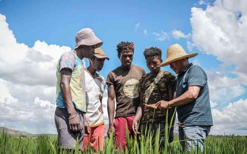 China-Africa partnership conference contributes wisdom to global governance reform