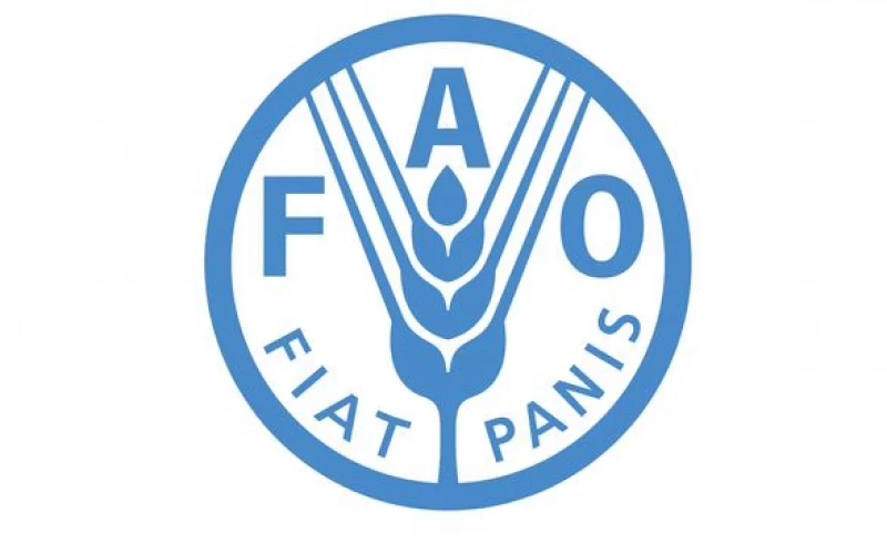 Kenya merely leaking prosperity and we mistakenly call it scarcity